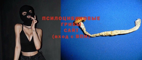 apvp Касимов