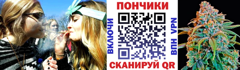 Марихуана сатива Купить Заинск